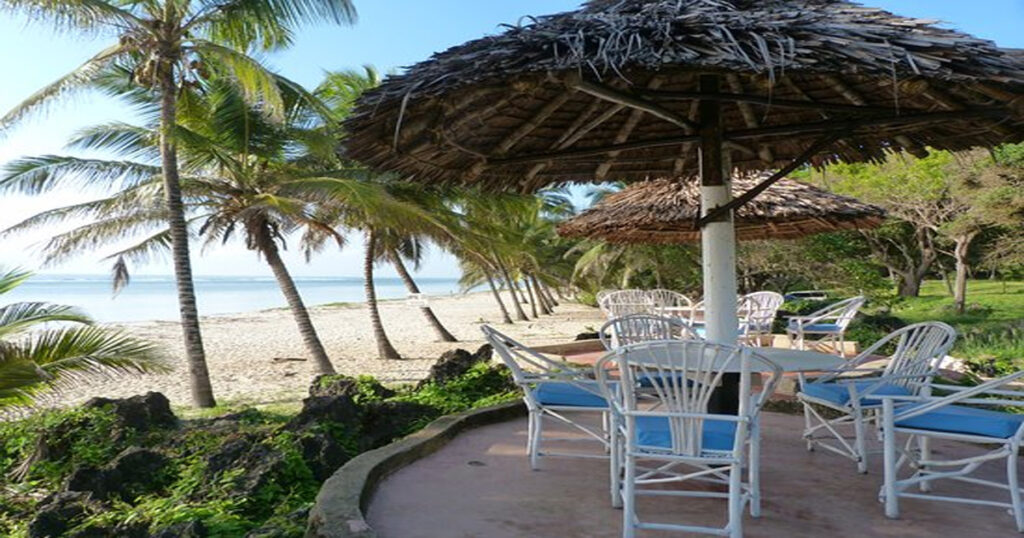 Discover Weed in Fujairah