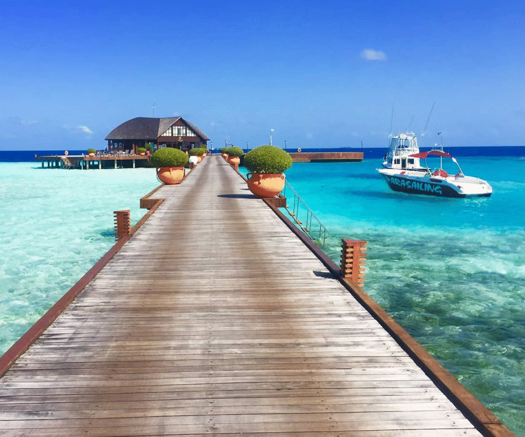 Discover Weed in Al Khobar