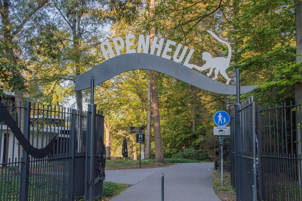 Apenheul Apeldoorn Netherlands