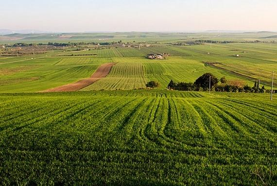 Puglia countryside near Foggia Italy