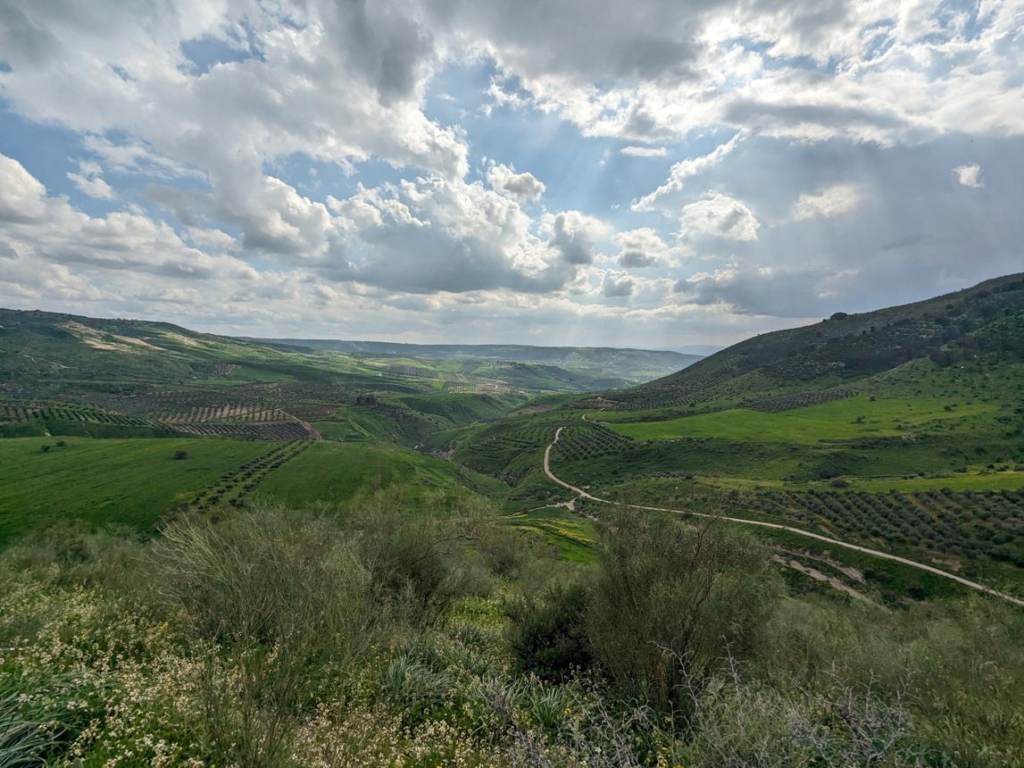 Northern Jordan landscape