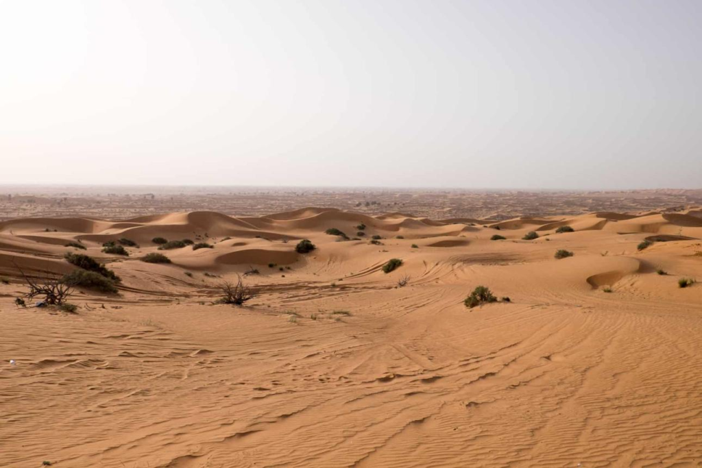 Ras Al Khaimah desert UAE