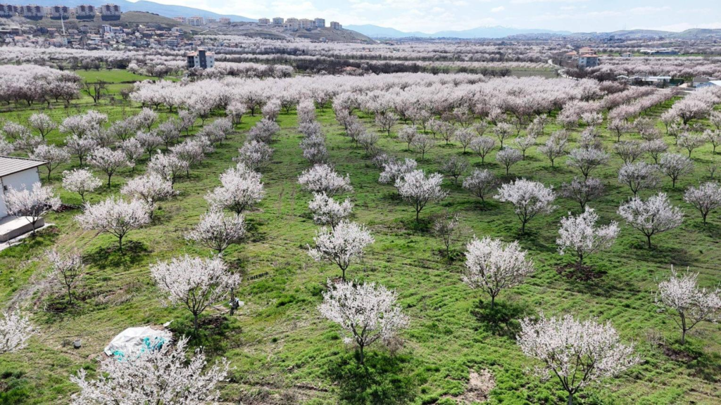 Arslantepe Mound Malatya Turkey