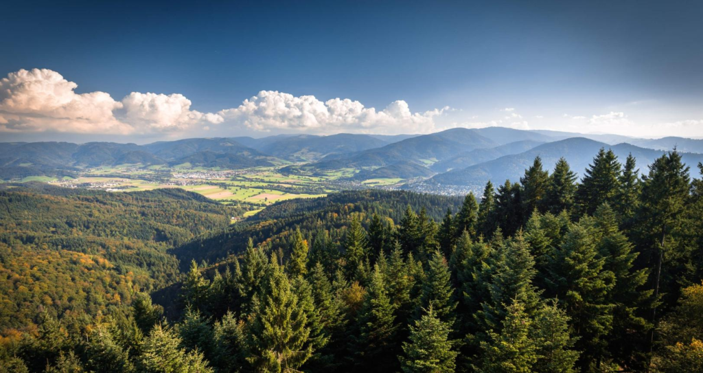 Black Forest near Freiburg Germany