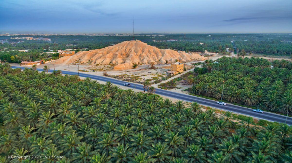 Palm groves and waterways at Al Ahsa Oasis in Saudi Arabia.