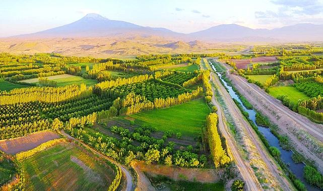 Agricultural and mountain landscape around Iğdır Turkey.