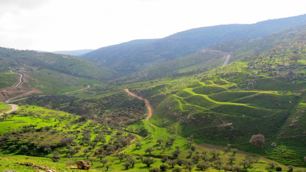 Green hills and countryside around Ajloun Jordan.