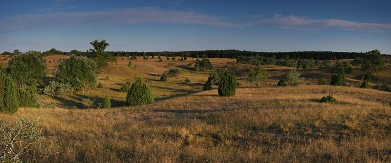 Natural landscape in Kiskunság National Park Hungary.