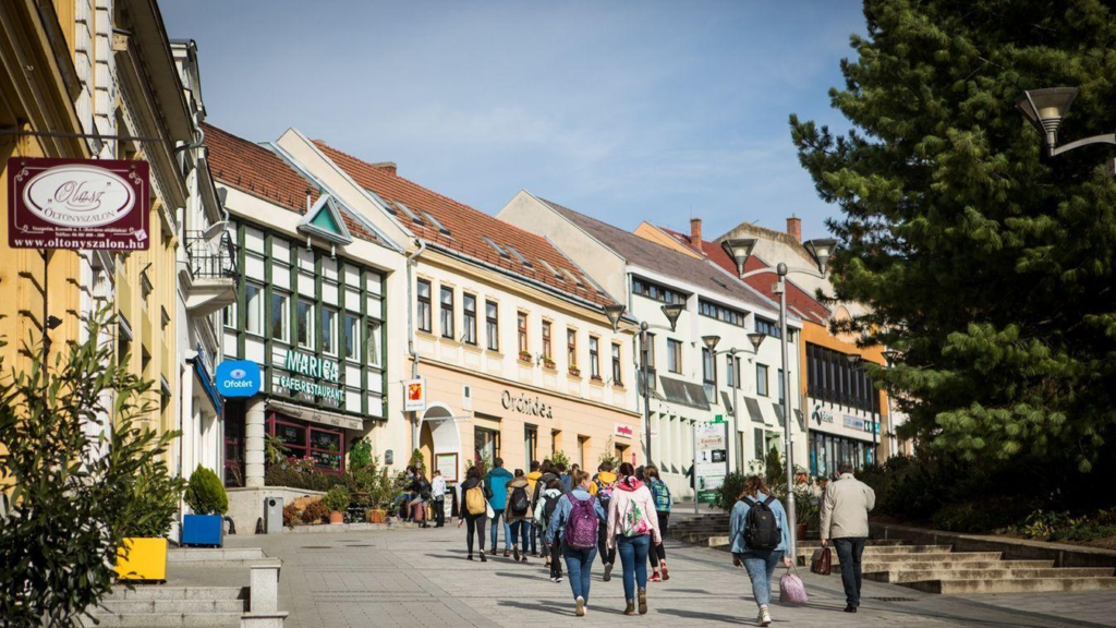 Local streets and markets in Veszprem