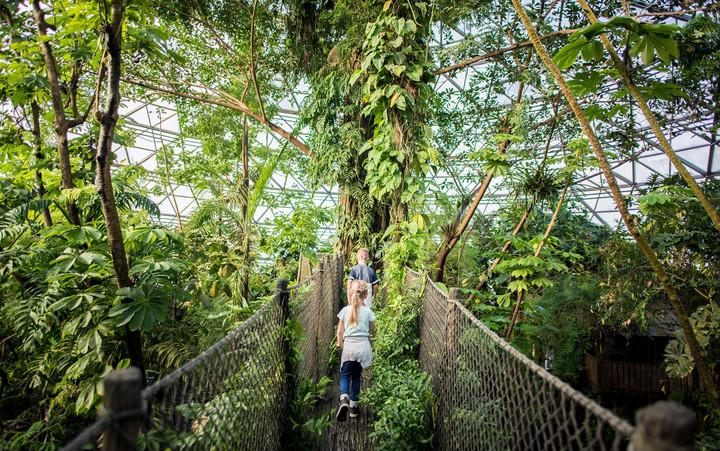 Randers Rainforest Denmark attractio