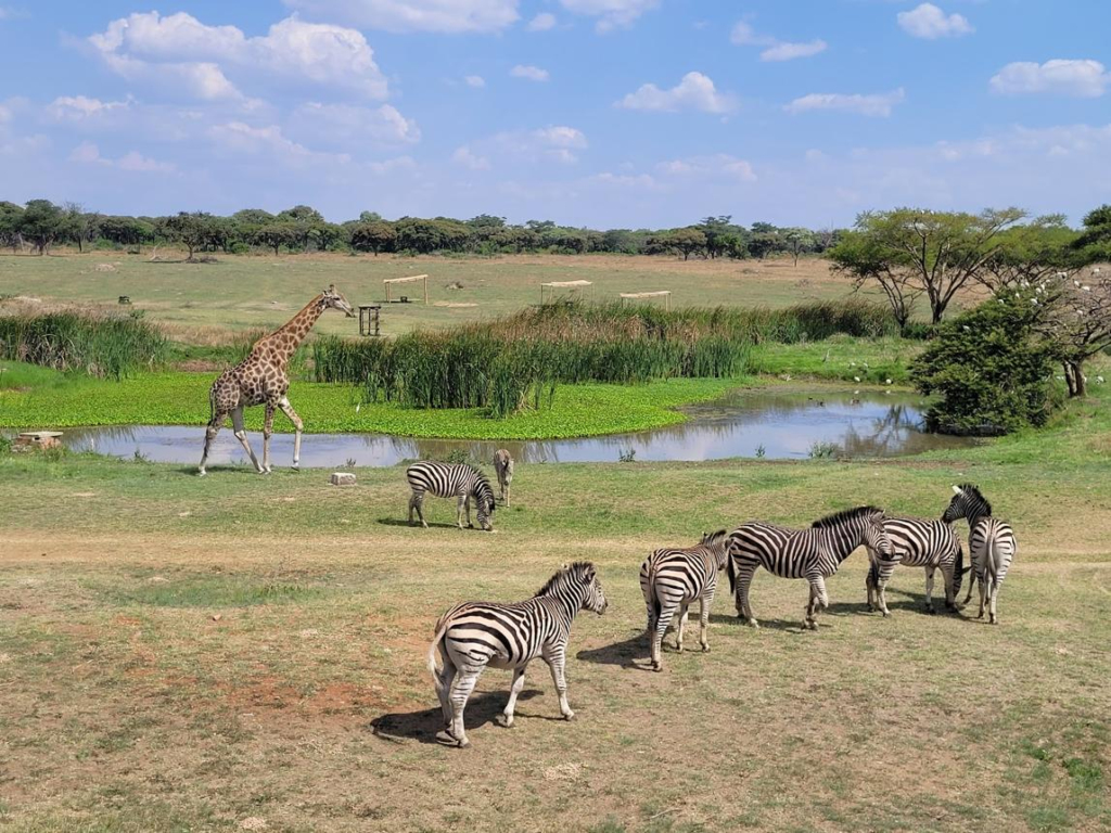 Mukuvisi Woodlands Harare Zimbabwe
