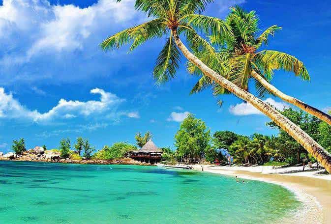 Discover Weed in Jakarta