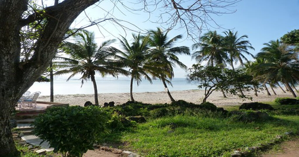 Discovering Weed in Ružomberok