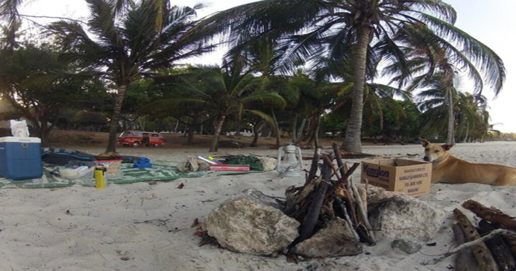 Discovering Weed in Taraz