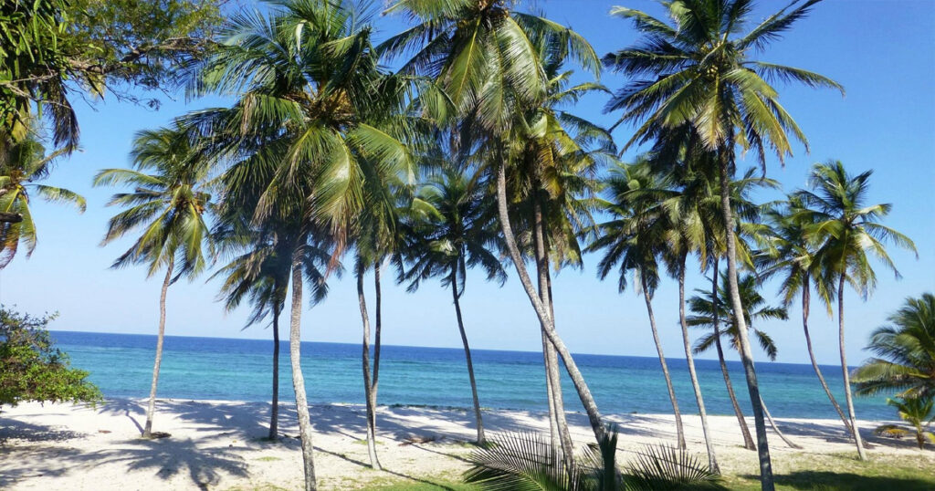 Discover Weed in Izhevsk