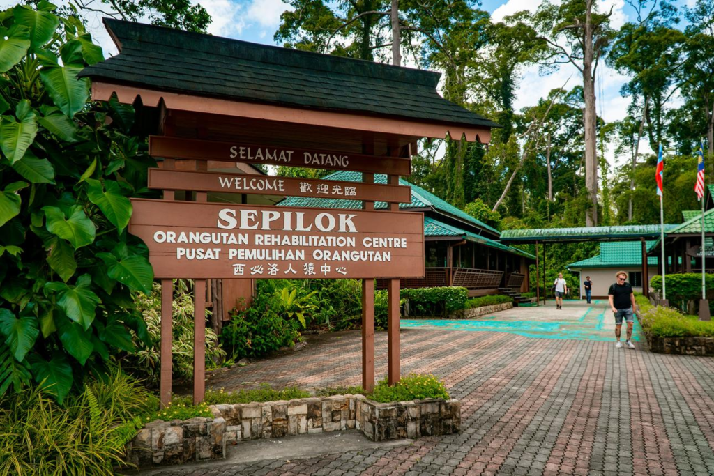 Sepilok Orangutan Rehabilitation Centre Sabah