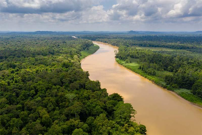 Kinabatangan River Sabah