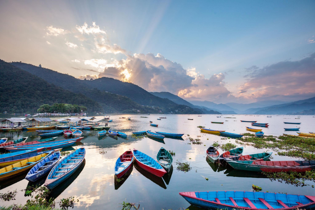 Cannabis in Pokhara