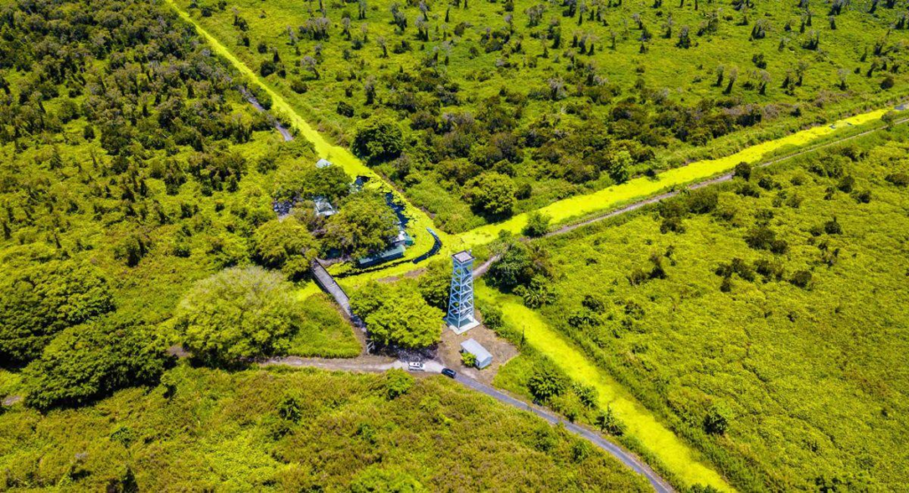 U Minh Ha National Park Ca Mau Vietnam