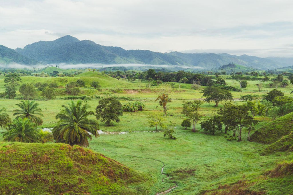 Honduras tropical countryside