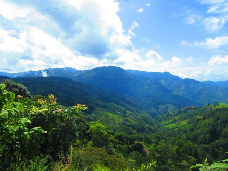 Cusuco National Park Honduras