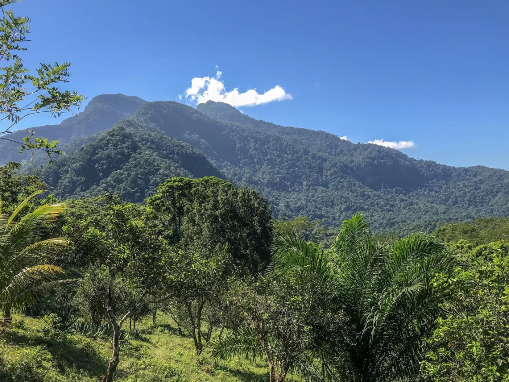 Pico Bonito National Park Honduras