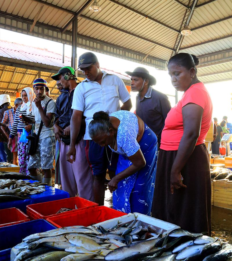 Visitors exploring the bustling Negombo Fish Market with fresh seafood displayed along the waterfront.