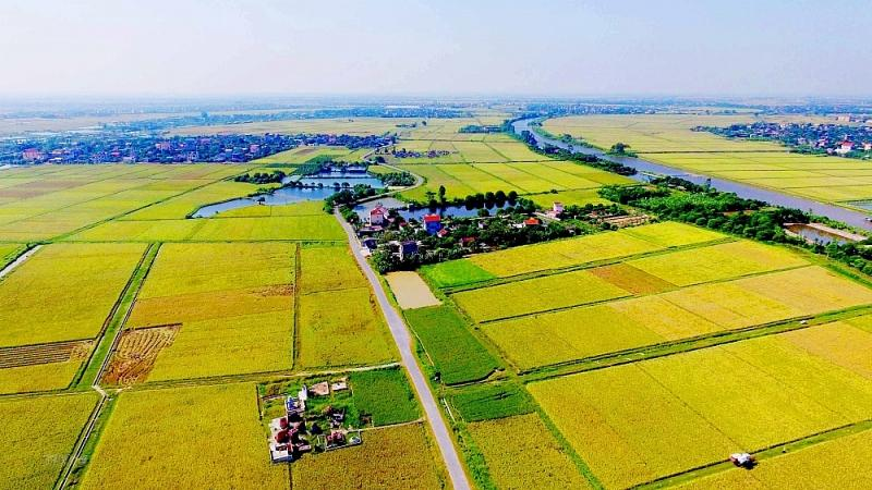 Rural agricultural landscape in Hai Duong province, Vietnam.