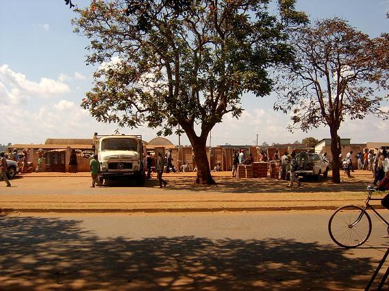 Visitors walking through streets in Lichinga with local markets, shops, and pedestrian activity.