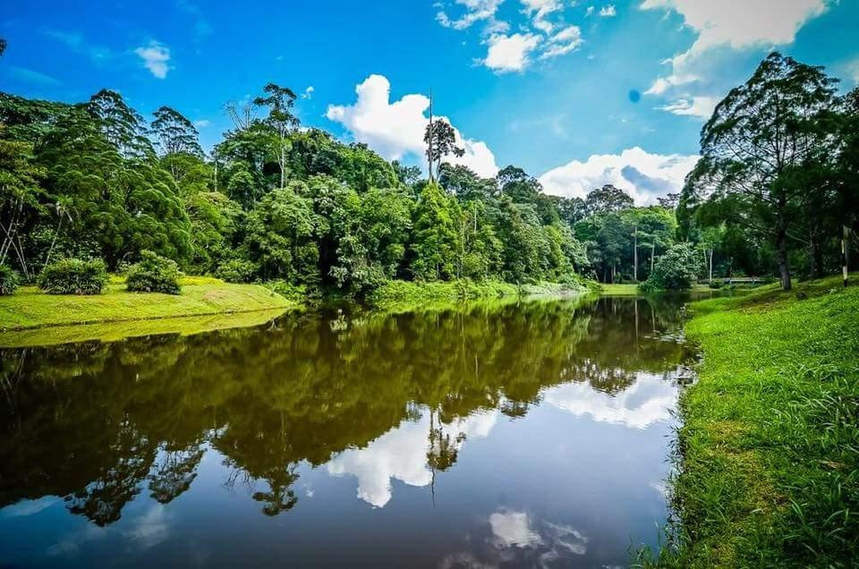 Natural landscape and green areas in Selangor Malaysia.