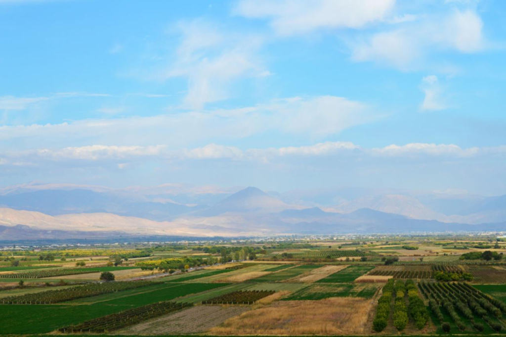 Agricultural landscape in Armenia’s Ararat Valley.