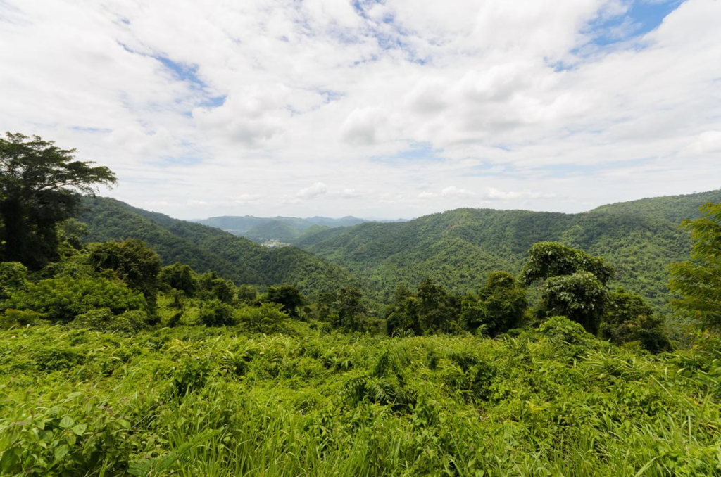 Mountain and forest landscape in Khao Yai National Park Thailand.