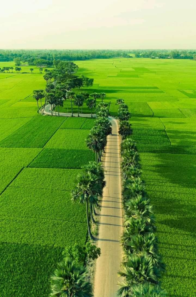 Agricultural landscapes around Naogaon