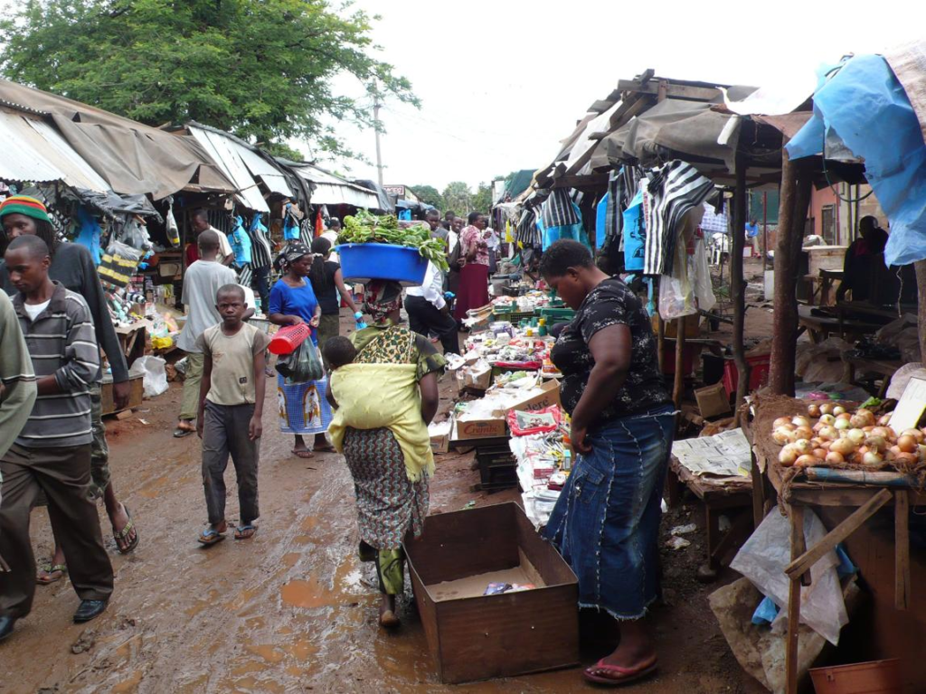 Visitors walking through streets in Livingstone with local shops, markets, and pedestrian activity.