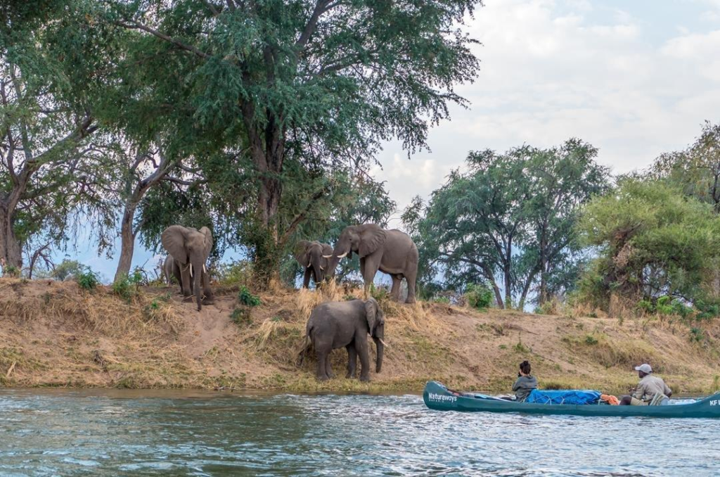 Visitors enjoying natural landscapes near Ndola, Zambia, along the Kafue River.
