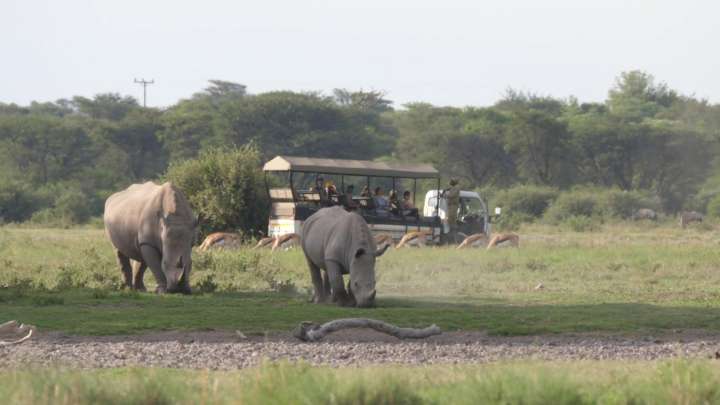 Visitors exploring Khama Rhino Sanctuary near Serowe, Botswana, with wildlife and natural scenery.