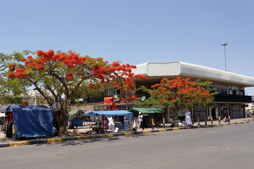 Visitors walking through streets in Francistown with local shops, markets, and pedestrian activity.
