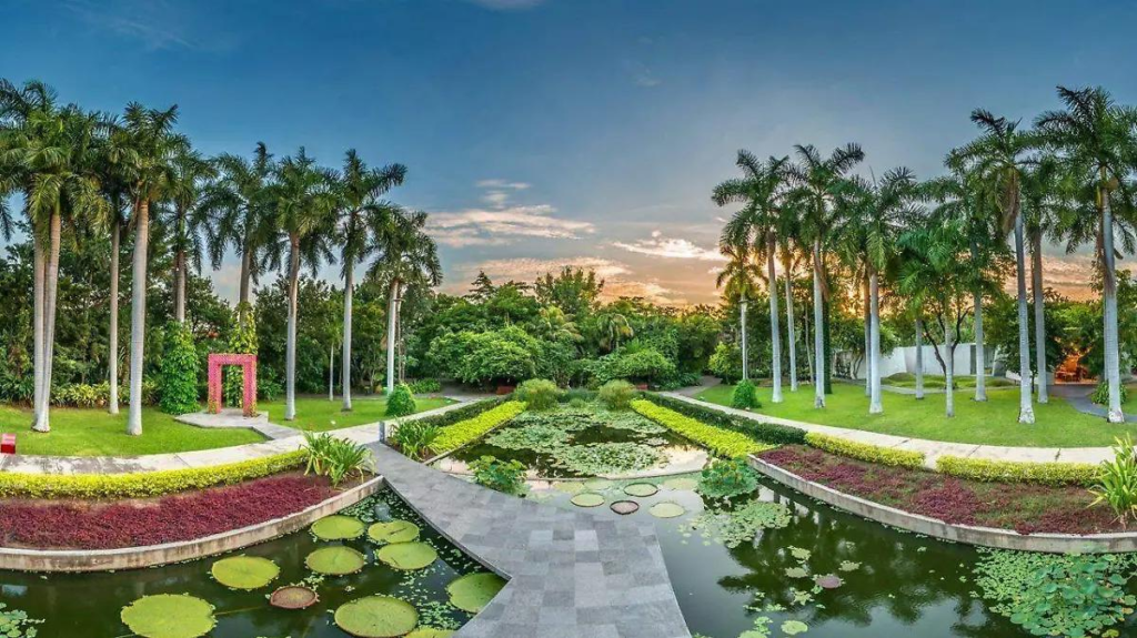 Culiacán botanical garden public spaces