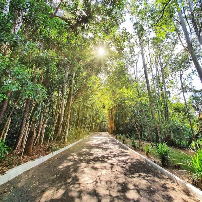 Parque Natural Chico Mendes Sorocaba Brazil