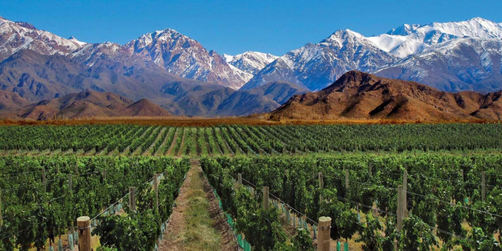 Mendoza Argentina vineyards wine region landscape