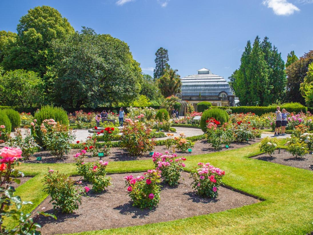 Tourists visiting the Christchurch Botanic Gardens with colorful flowers, walking paths, and green spaces.

Caption