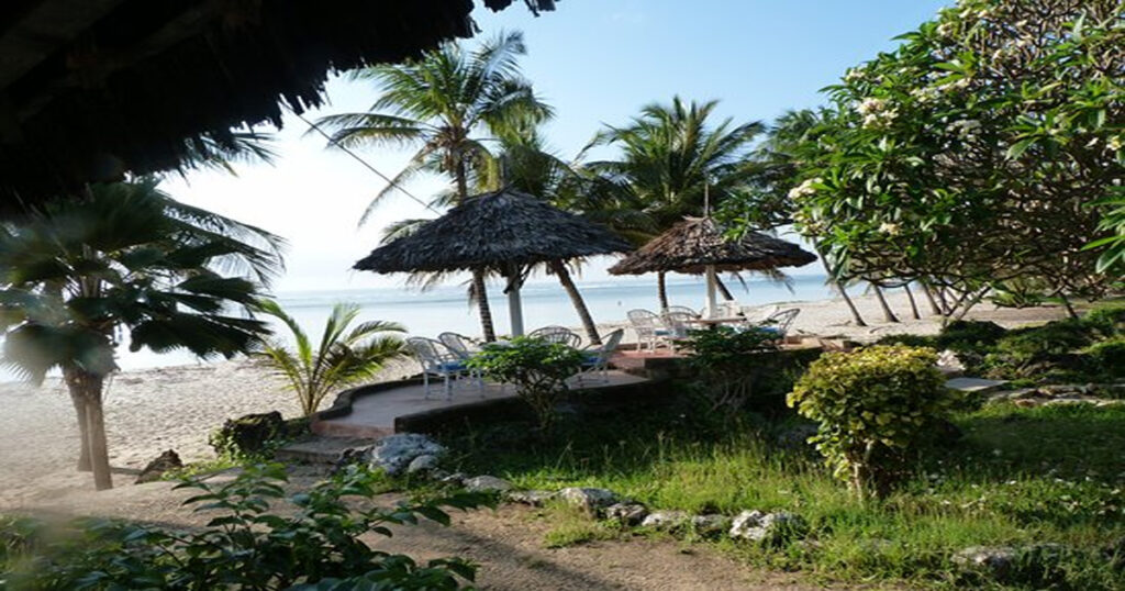 Discovering Weed in Tajikistan