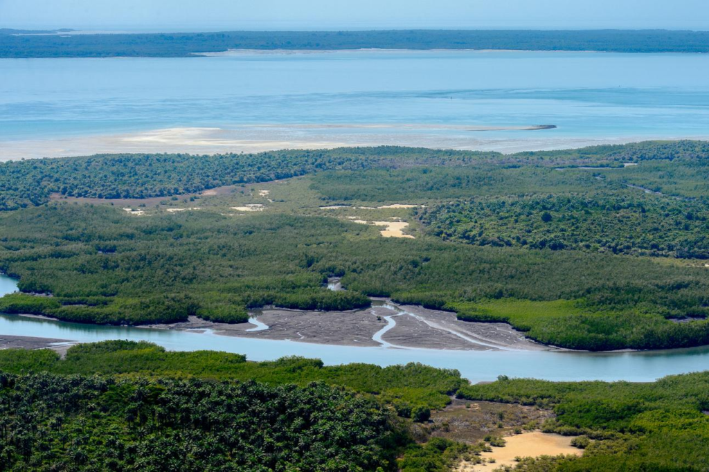 Aerial view of Guinea-Bissau showing islands, coastal areas, and mangroves