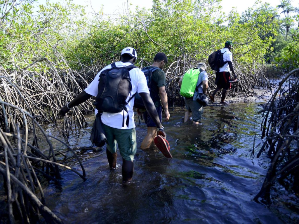 Visitors exploring mangrove forests and observing wildlife in a nature reserve in Guinea-Bissau
