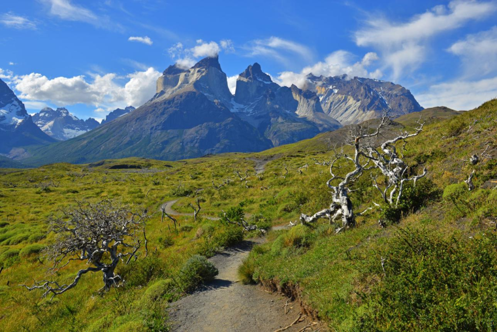 Visitors hiking along a trail with mountains and turquoise lakes in Torres del Paine National Park.