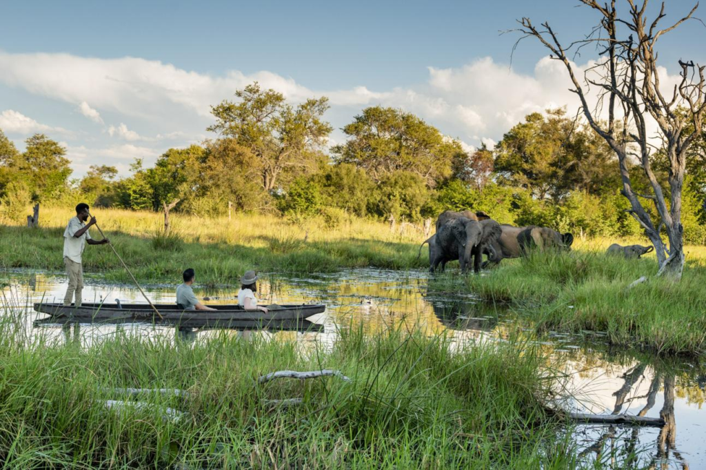Visitors traveling in a traditional mokoro canoe through the Okavango Delta surrounded by reeds and wildlife.