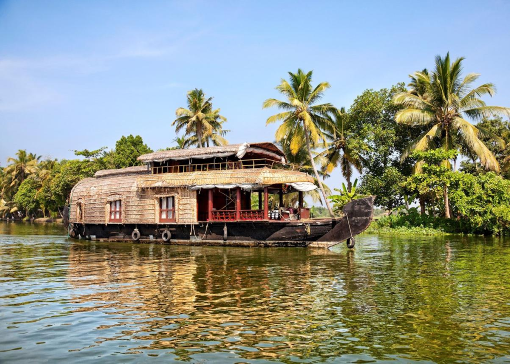 Traditional houseboats cruising through the Kerala backwaters.
