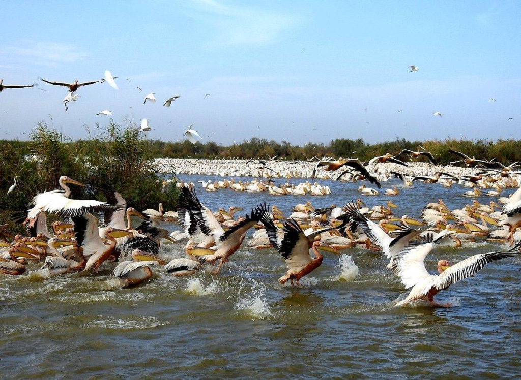 Pink waters of Lac Rose near Dakar, Senegal.