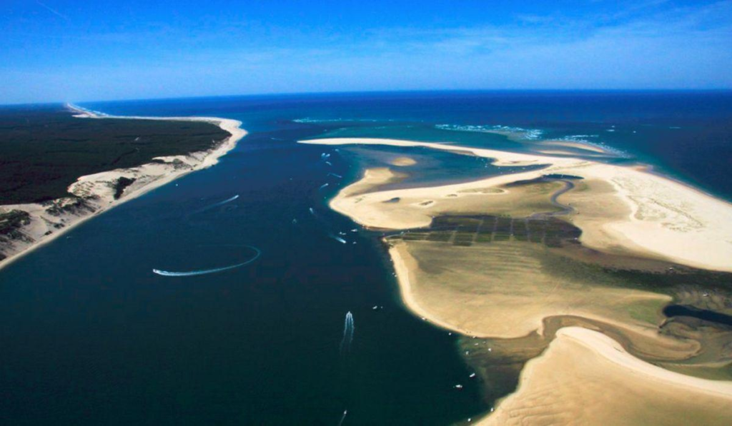 Coastal wetlands and wildlife at Banc d’Arguin National Park, Mauritania
