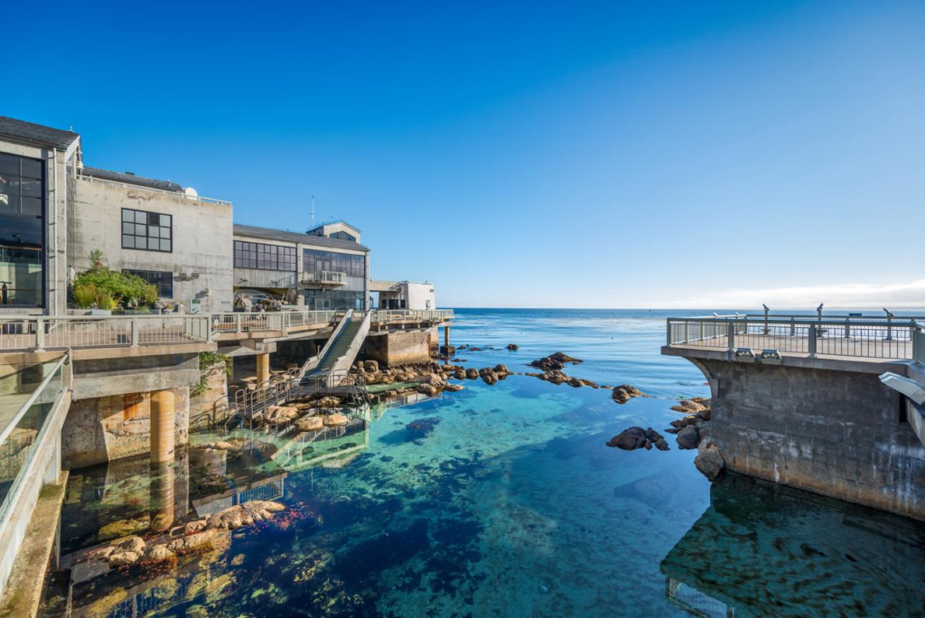Monterey Bay Aquarium in California.